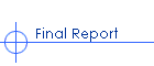 Final Report
