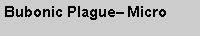 Text Box: Bubonic Plague� Micro
