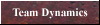 Team Dynamics