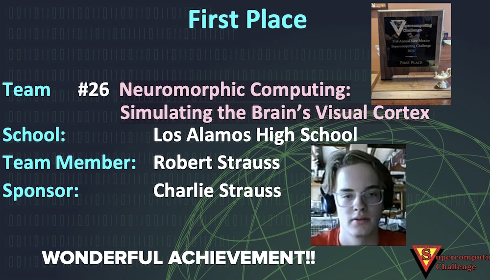Student project visualizing the brain's visual cortex